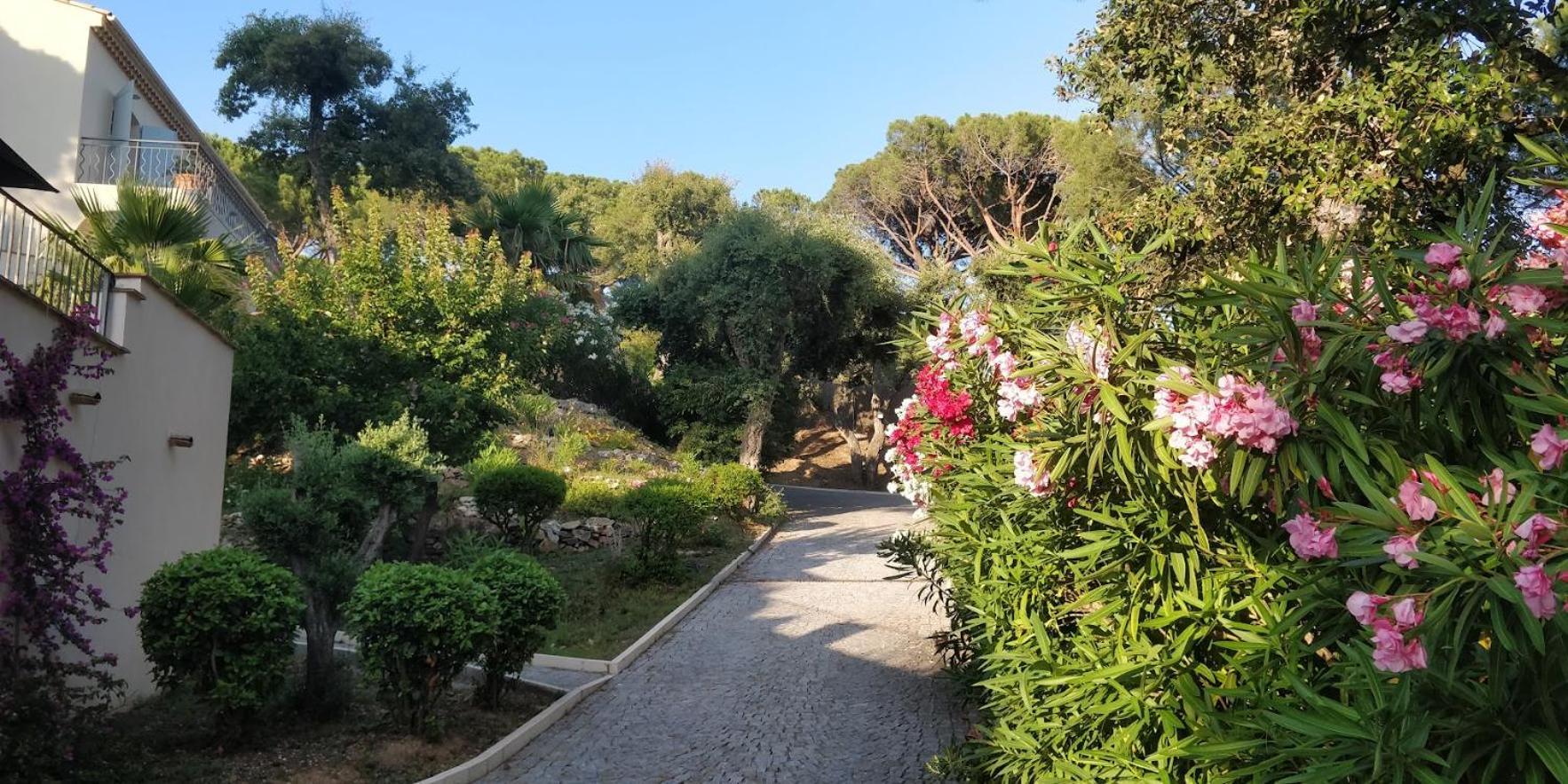 Hotel La Beluga Sainte-Maxime Zewnętrze zdjęcie