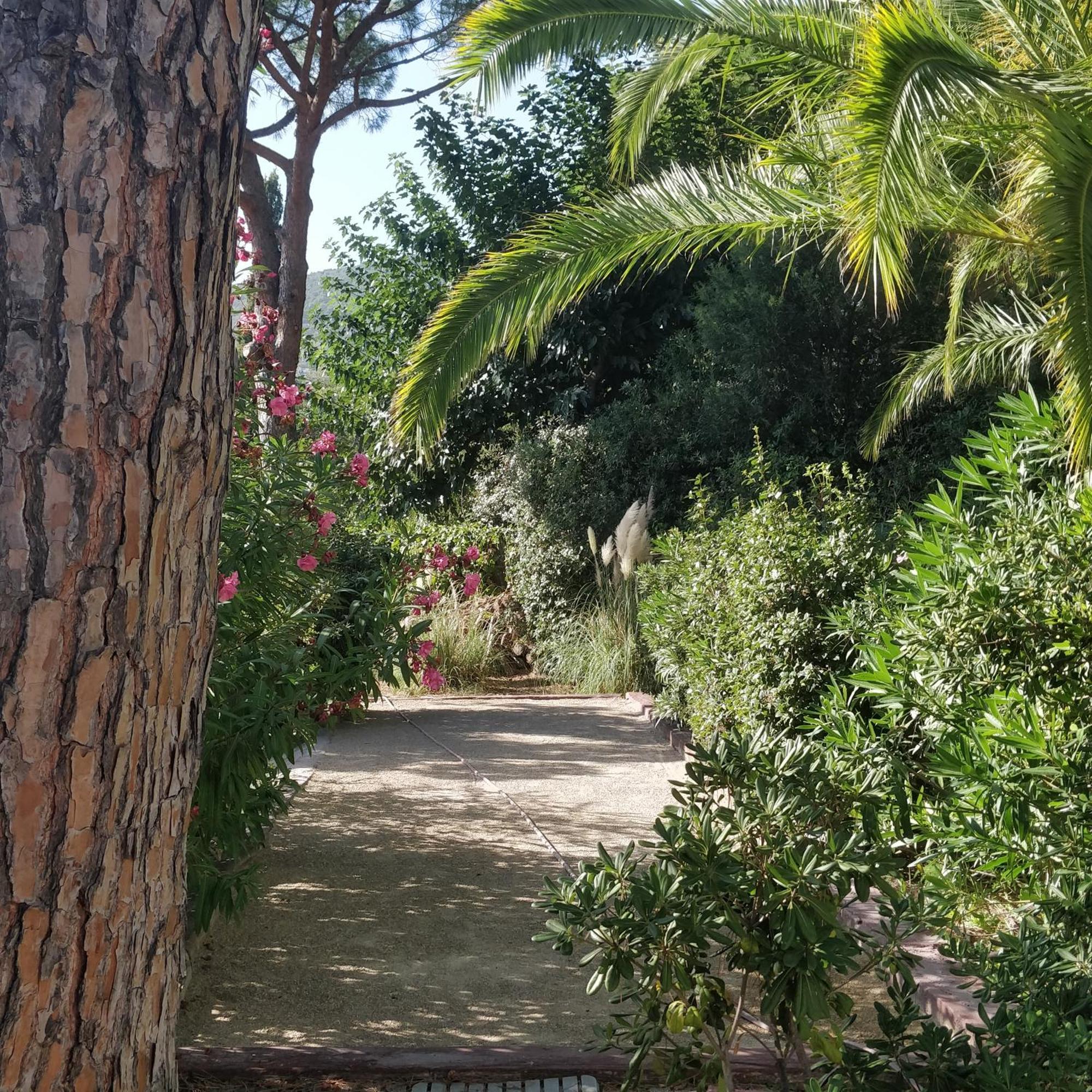 Hotel La Beluga Sainte-Maxime Zewnętrze zdjęcie