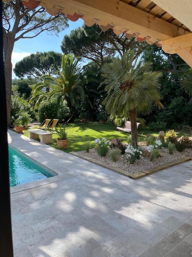 Hotel La Beluga Sainte-Maxime Pokój zdjęcie