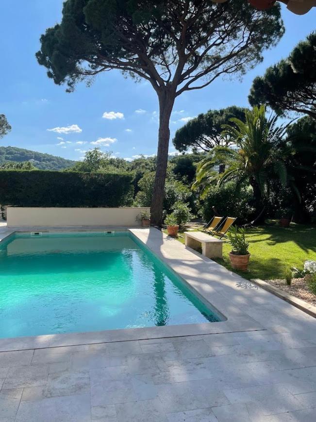 Hotel La Beluga Sainte-Maxime Pokój zdjęcie